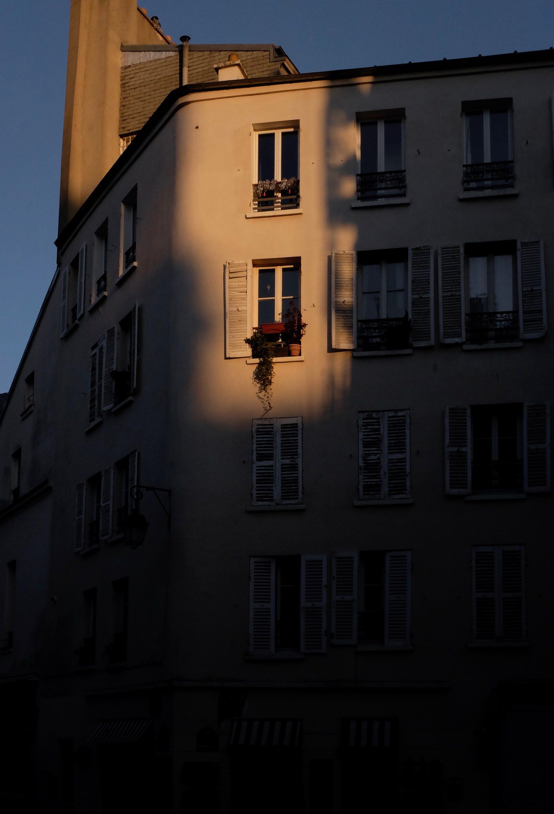A Paris apartment building in golden evening light